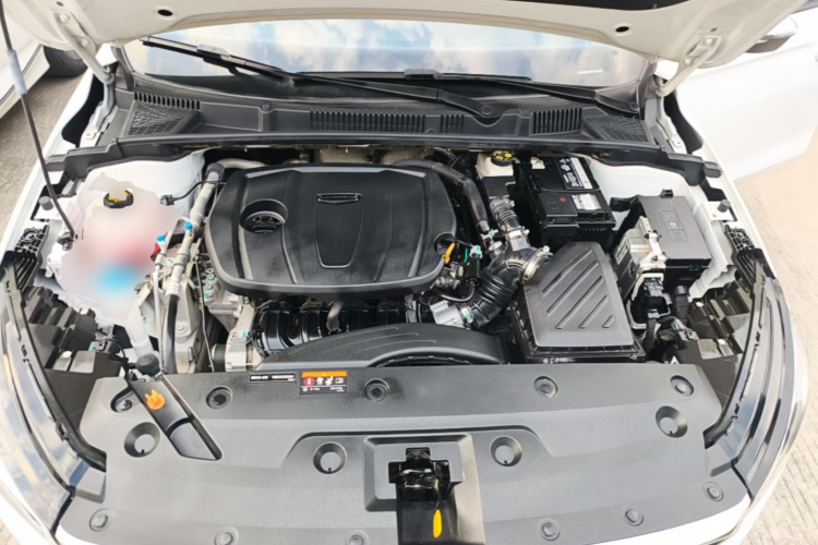 GEELY Emgrand 2024 immagine di auto #20