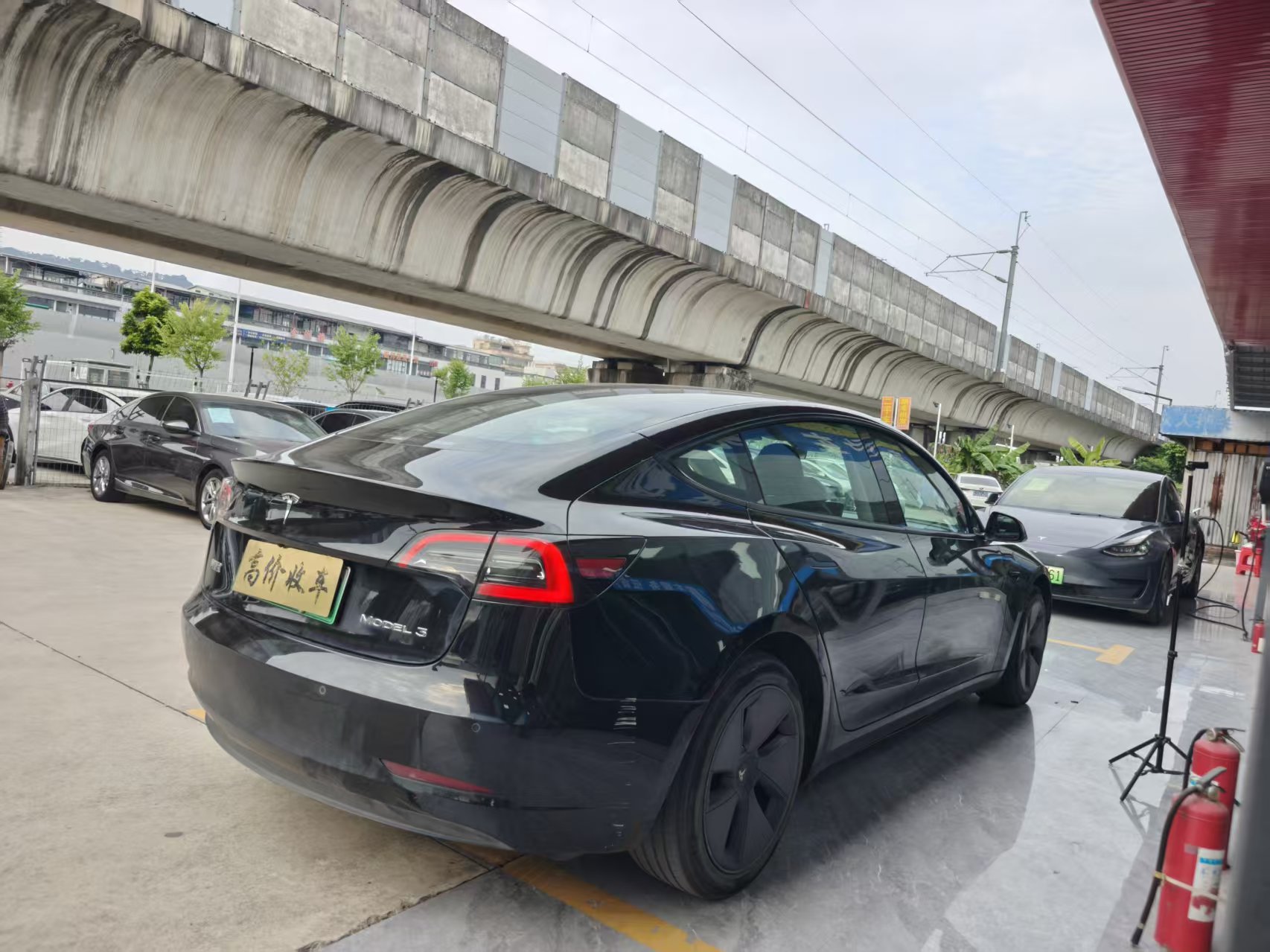 Tesla Model 3 2023 #5 Tesla Model 3 2023 car image #5