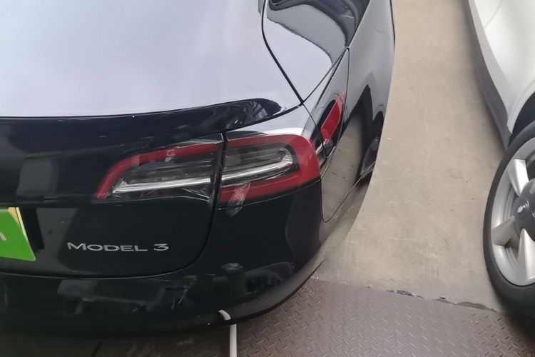 Tesla Model 3 2021 #8 Tesla Model 3 2021 car image #8