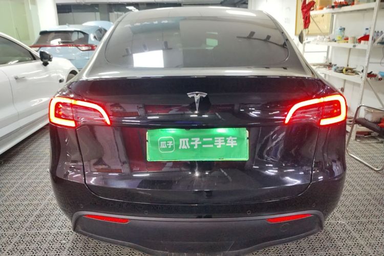 Tesla Model Y 2021 car image #6