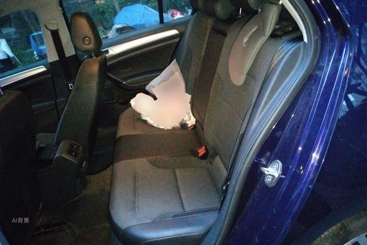 Volkswagen Golf 2020 car image #19