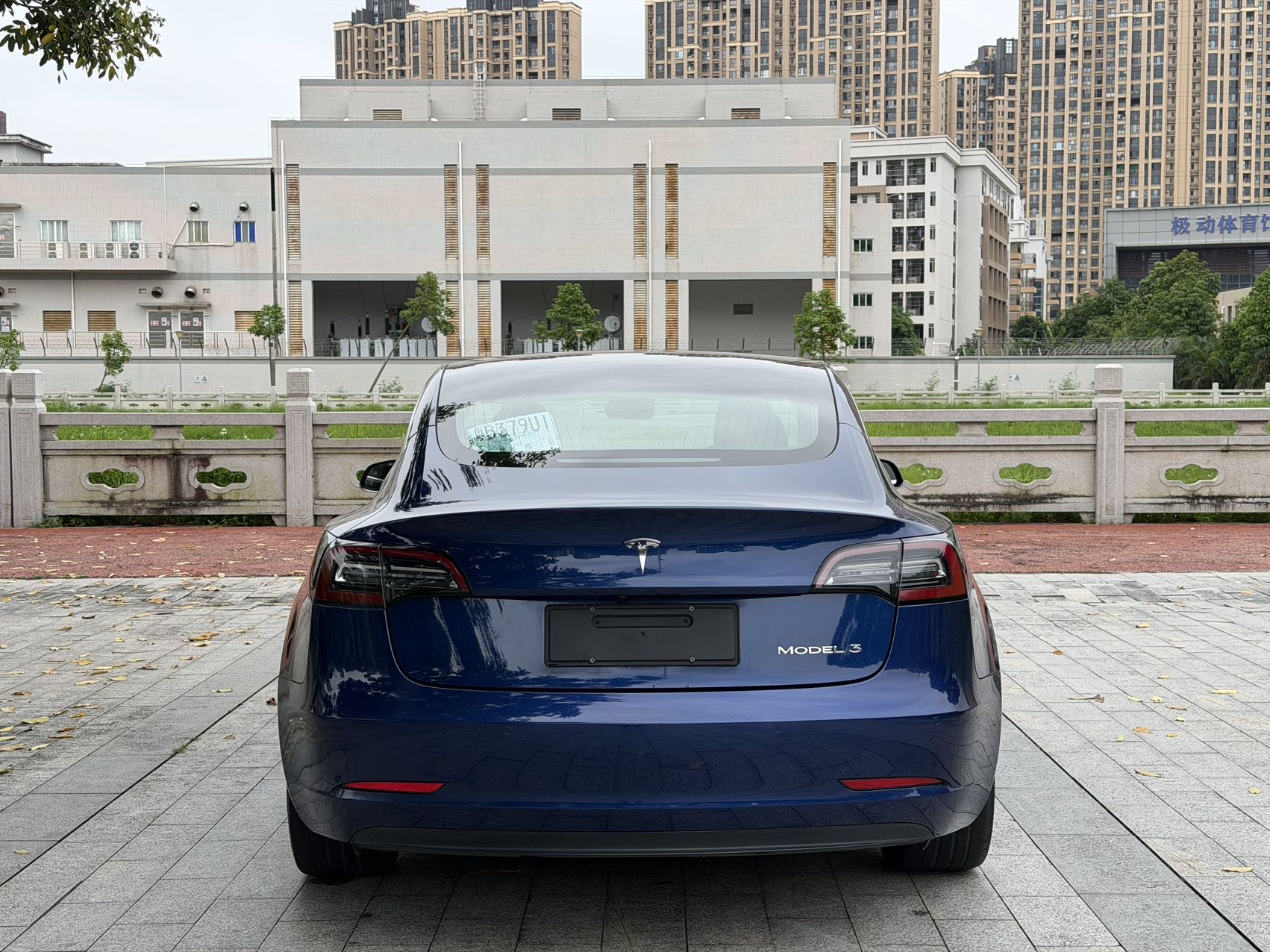 Tesla Model 3 2020 #8 Tesla Model 3 2020 car image #8