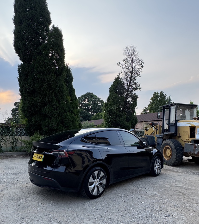 Tesla Model Y 2021 car image #6
