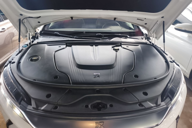 BYD Han 2021 immagine di auto #20