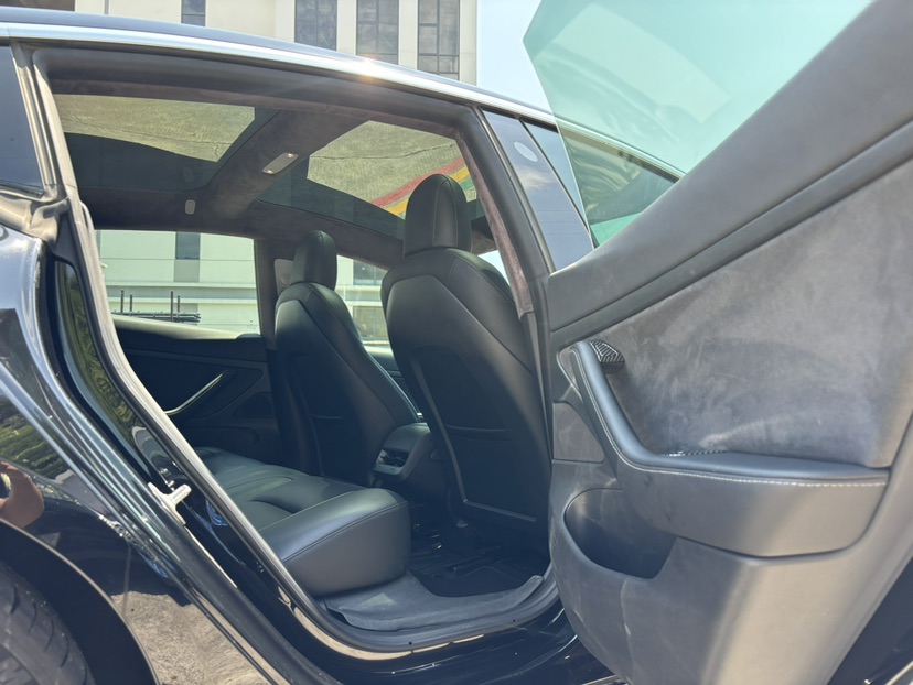 Tesla Model 3 2020 car image #15