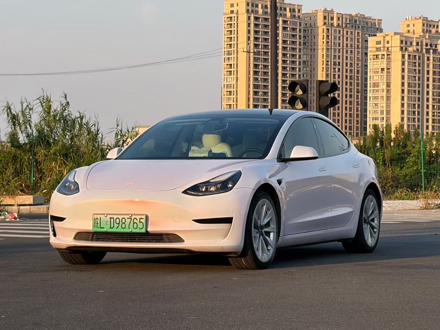 Tesla Model 3 2021 car image 
