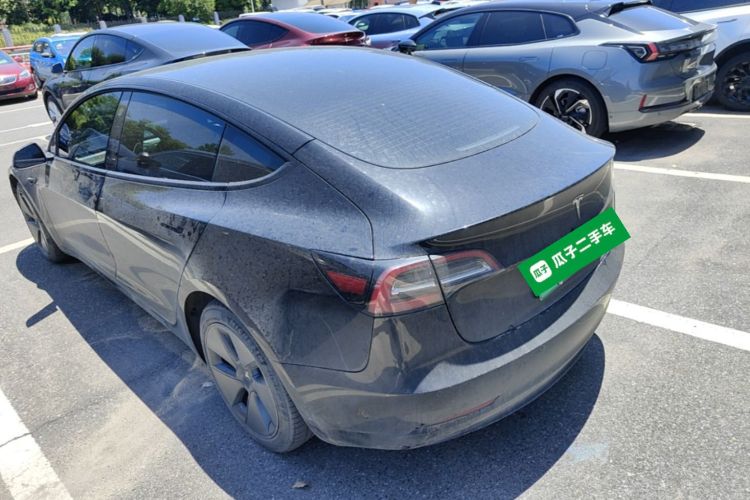 Tesla Model 3 2021 #5 Tesla Model 3 2021 car image #5