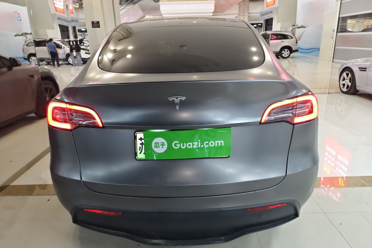 Tesla Model Y 2023 car image #6