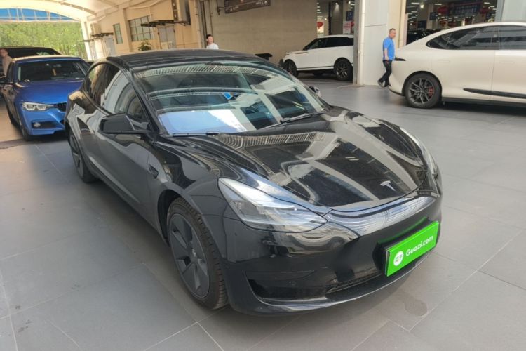 Tesla Model 3 2021 car image #6