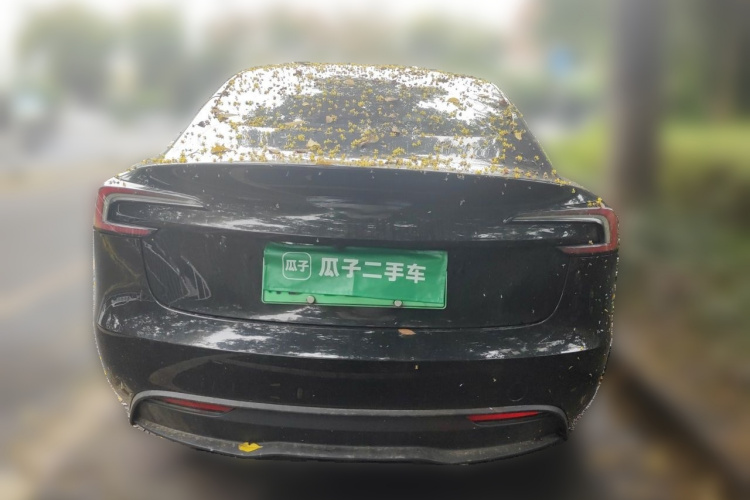 Tesla Model 3 2023 #4 Tesla Model 3 2023 car image #4