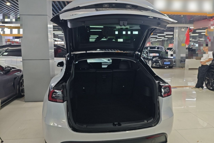 Tesla Model Y 2023 #19 Tesla Model Y 2023 car image #19