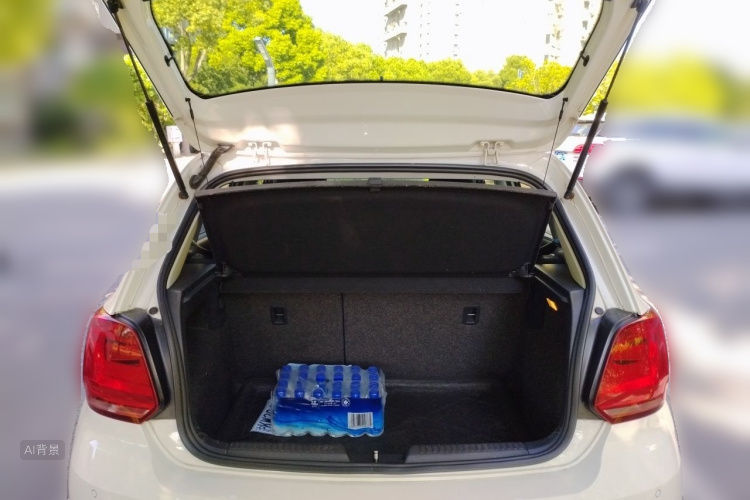 Volkswagen Polo 2016 car image #21