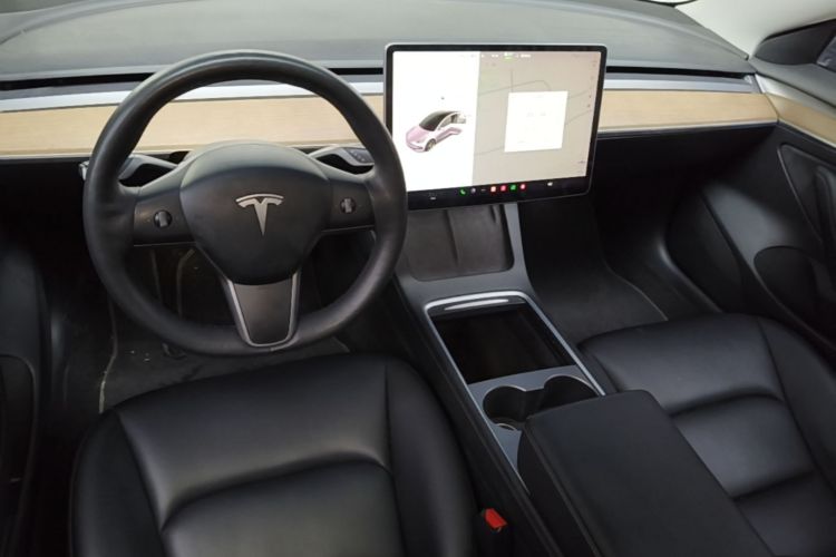 Tesla Model 3 2021 imagem de carro #10