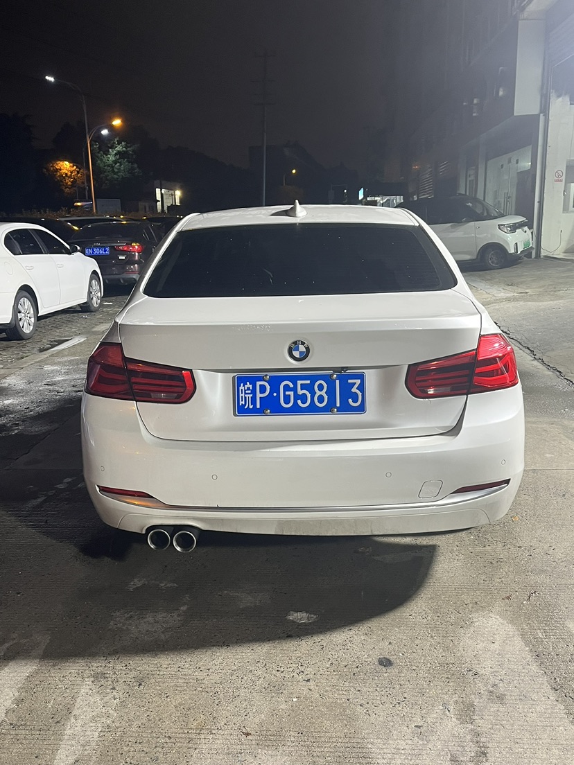 BMW 3 Series 2018 car image #8