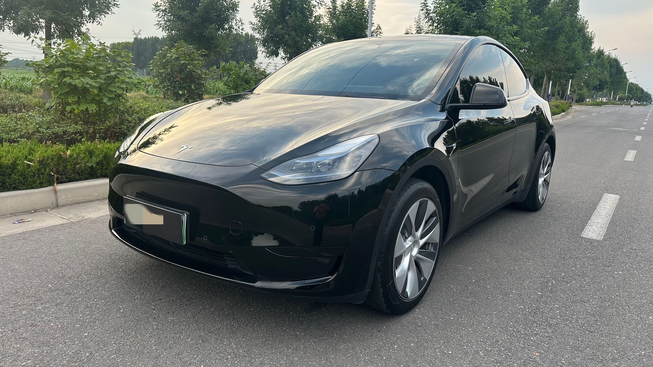Tesla Model Y 2023 Tesla Model Y 2023 car image