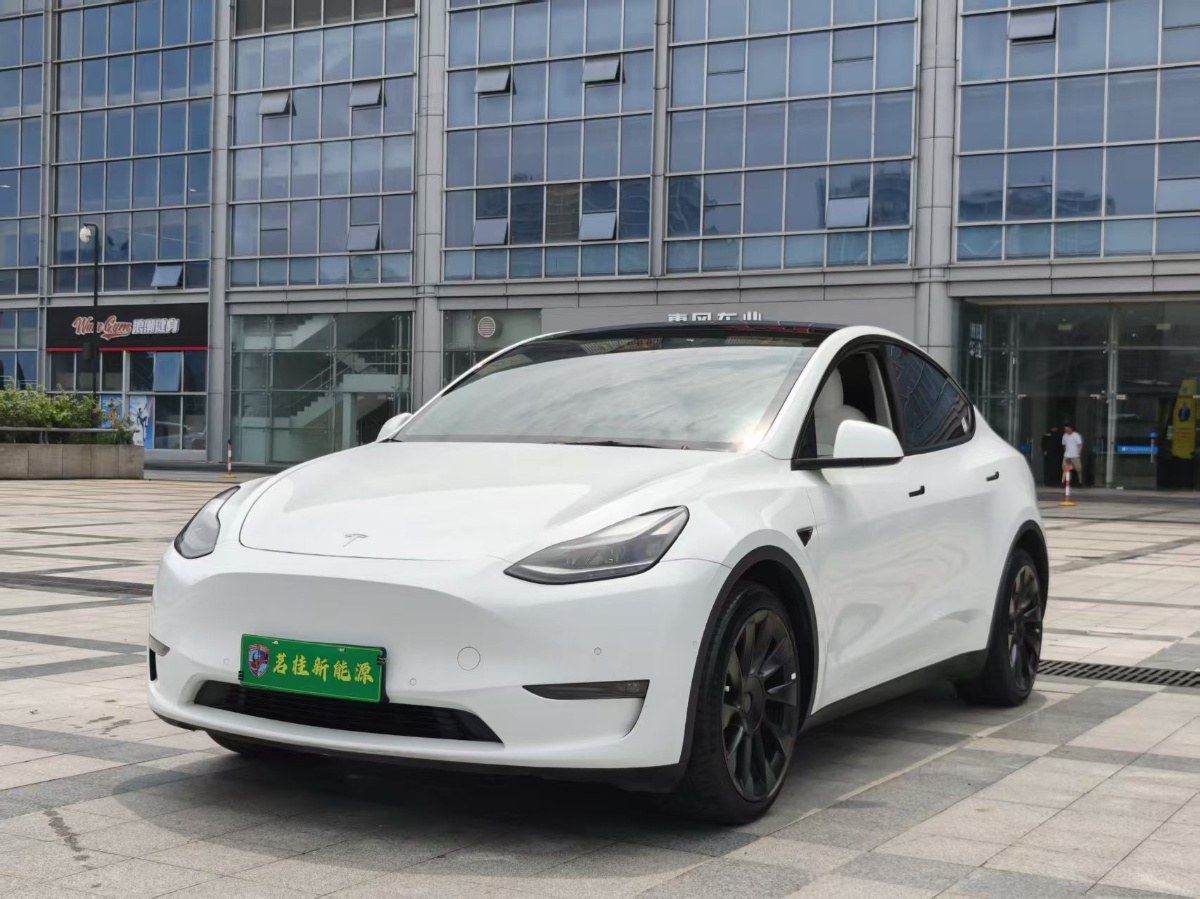 Tesla Model Y 2021 Tesla Model Y 2021 car image