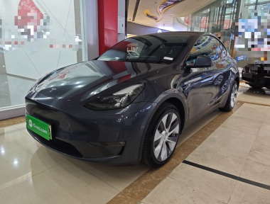 Tesla Model Y 2022 Tesla Model Y 2022 car image