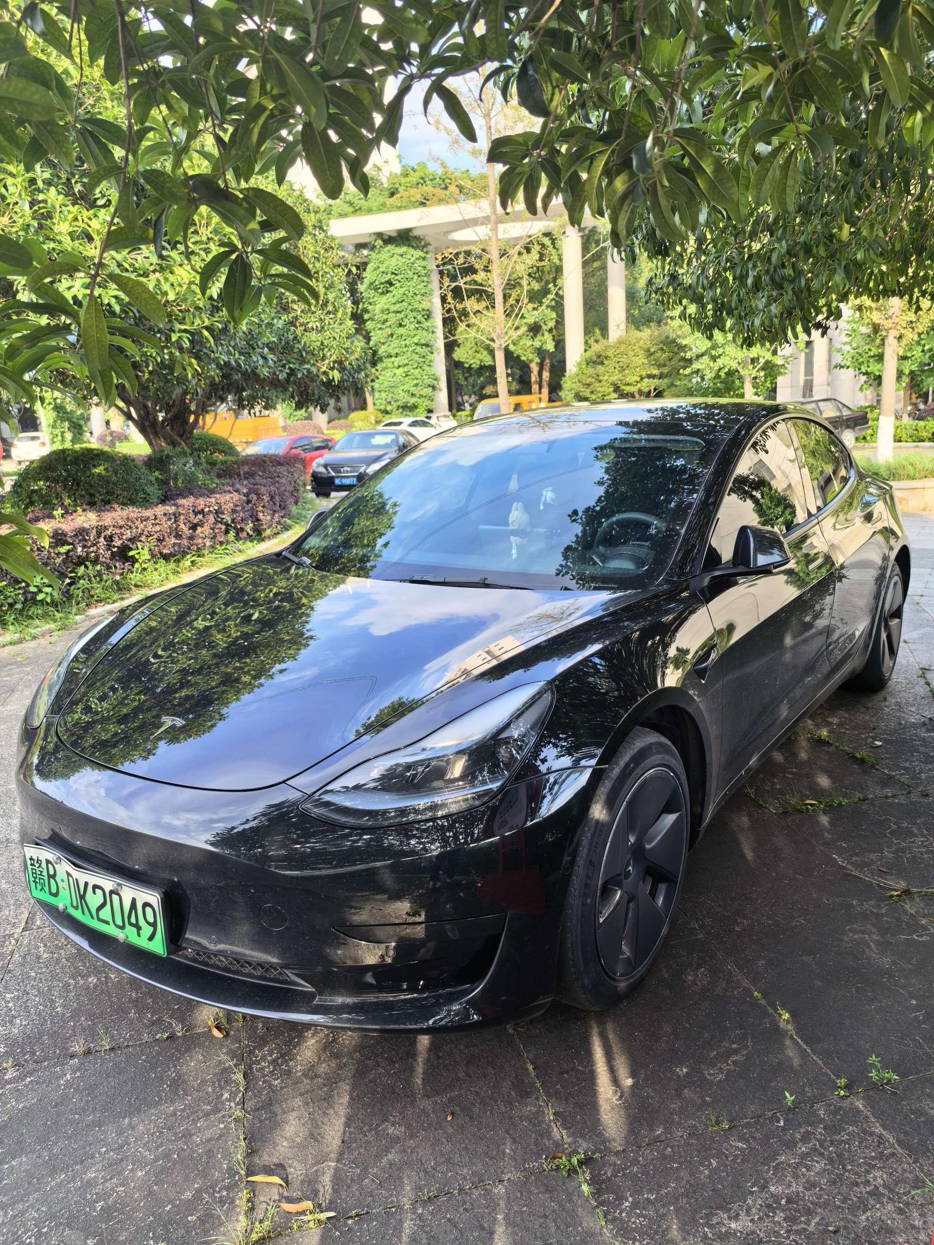 Tesla Model 3 2023 car image 