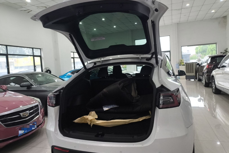 Tesla Model Y 2021 #19 Tesla Model Y 2021 car image #19