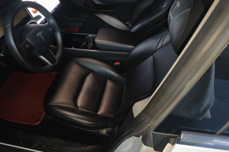 Tesla Model 3 2020 car image #15