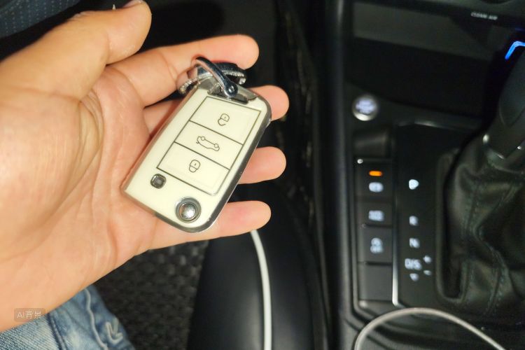 Volkswagen Lavida 2022 car image #10