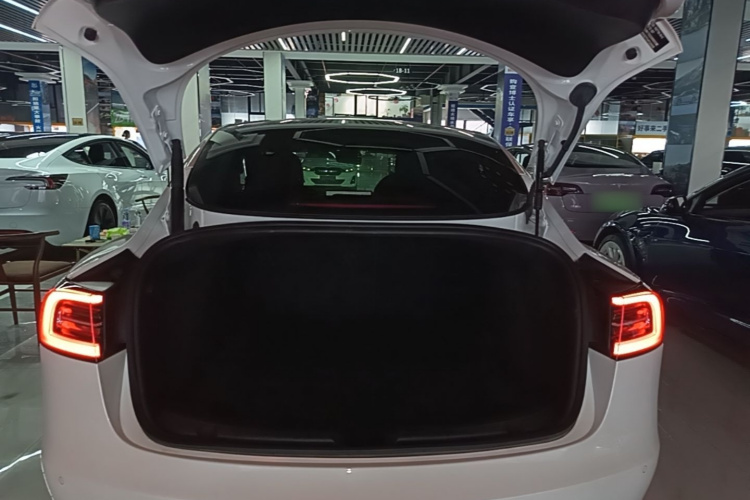 Tesla Model 3 2023 #19 Tesla Model 3 2023 car image #19