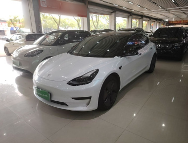 Tesla Model 3 2023 car image 