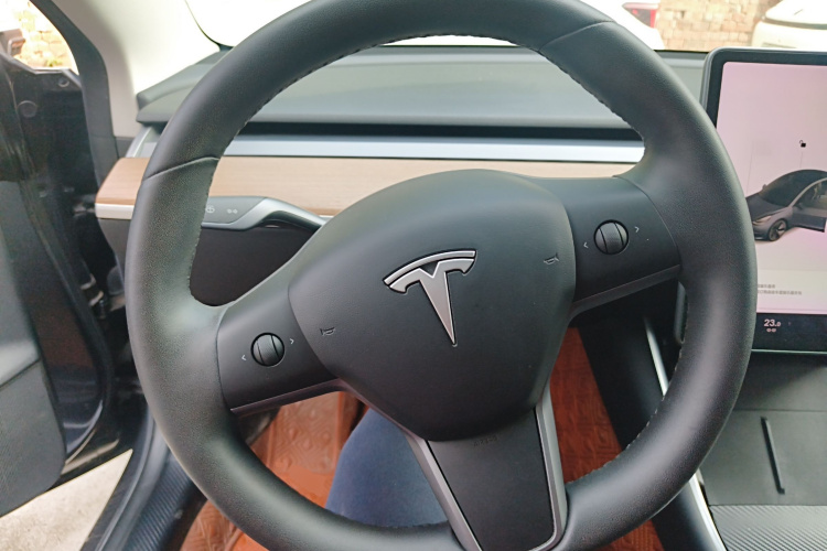 Tesla Model 3 2020 car image #15