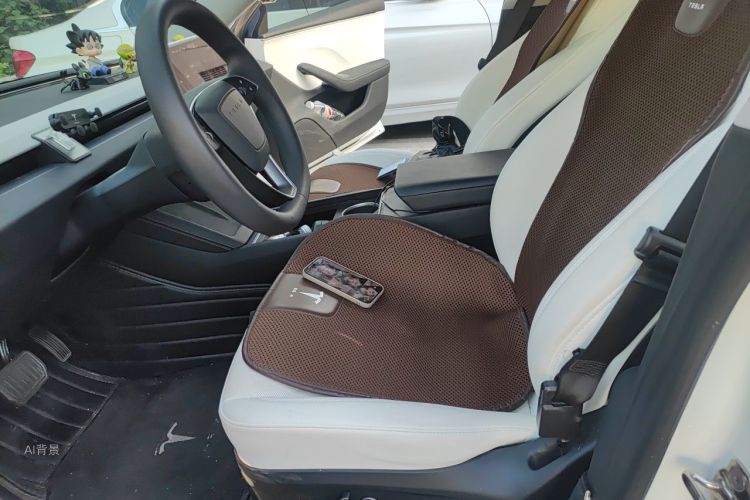 Tesla Model 3 2023 #17 Tesla Model 3 2023 car image #17