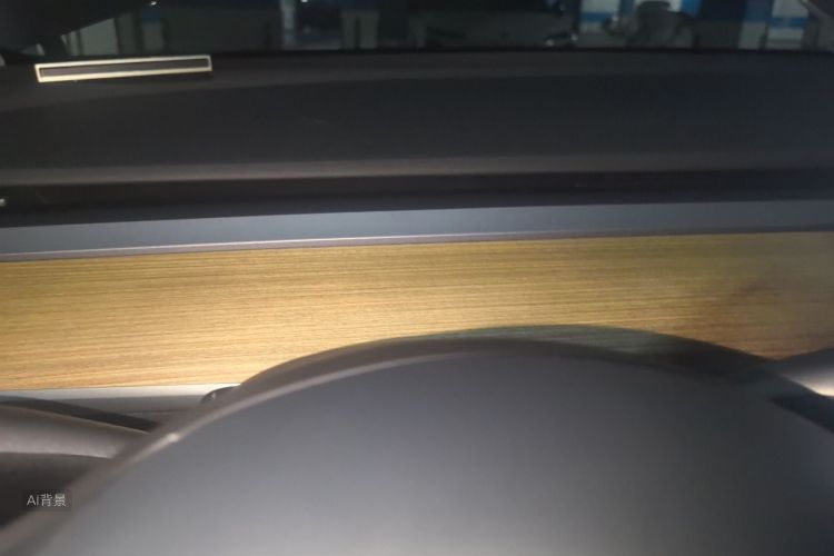 Tesla Model Y 2021 car image #13