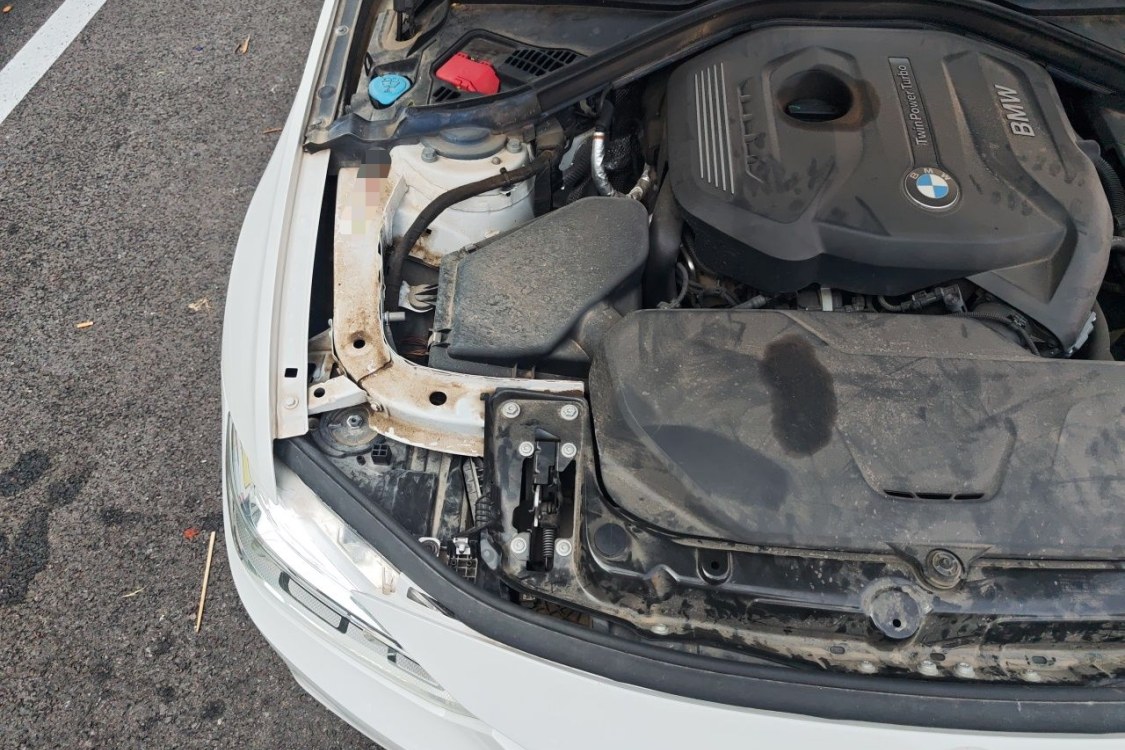 BMW 3 Series 2019 car image #11