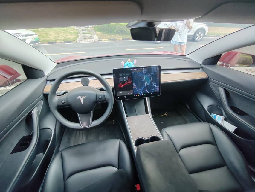 Tesla Model 3 2021 immagine di auto #6