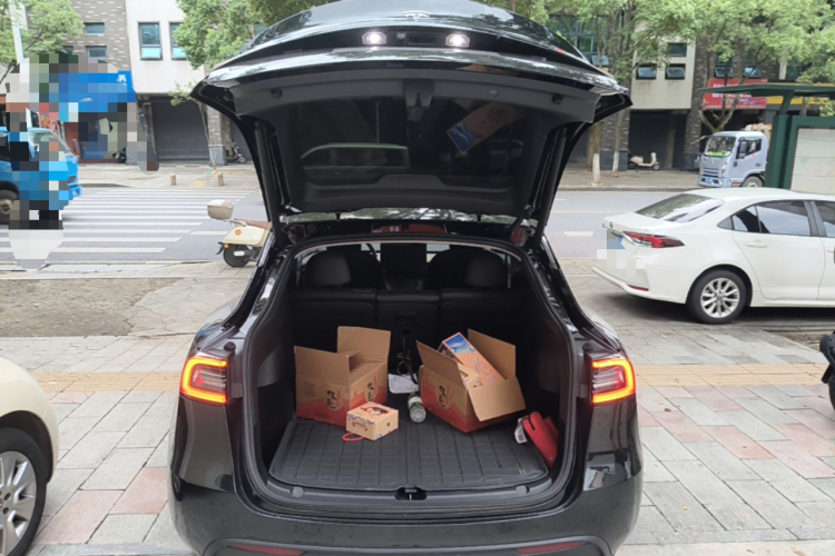 Tesla Model Y 2022 car image #19
