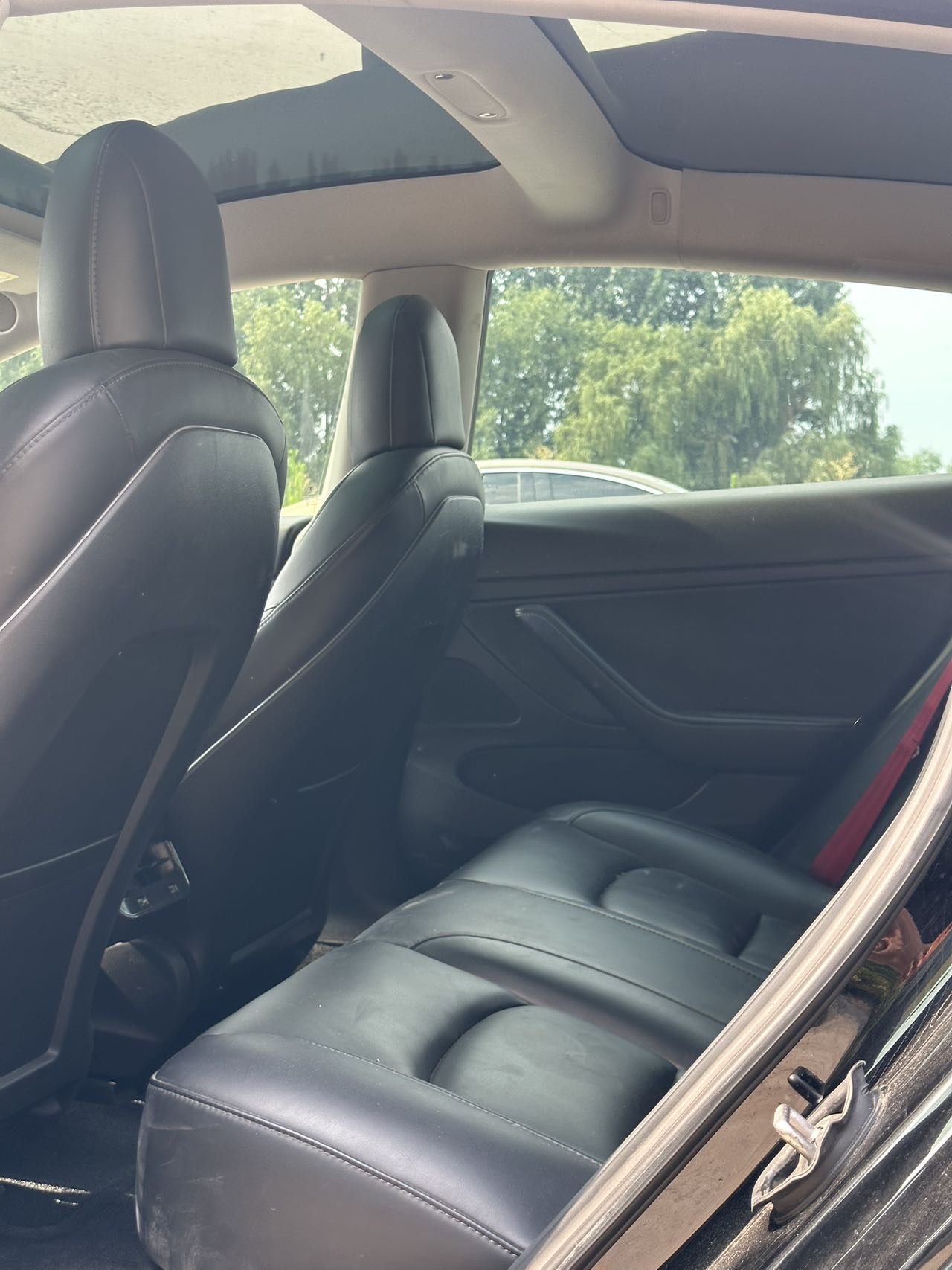 Tesla Model 3 2021 car image #6