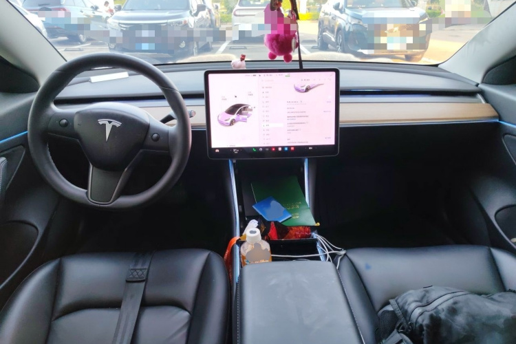 Tesla Model 3 2020 #12 Tesla Model 3 2020 car image #12