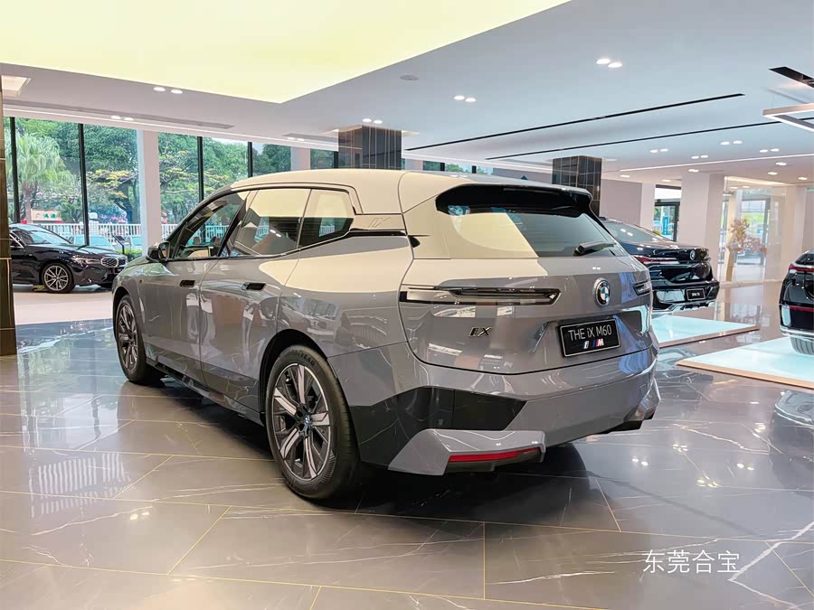 BMW iX M60 imagem de carro #6