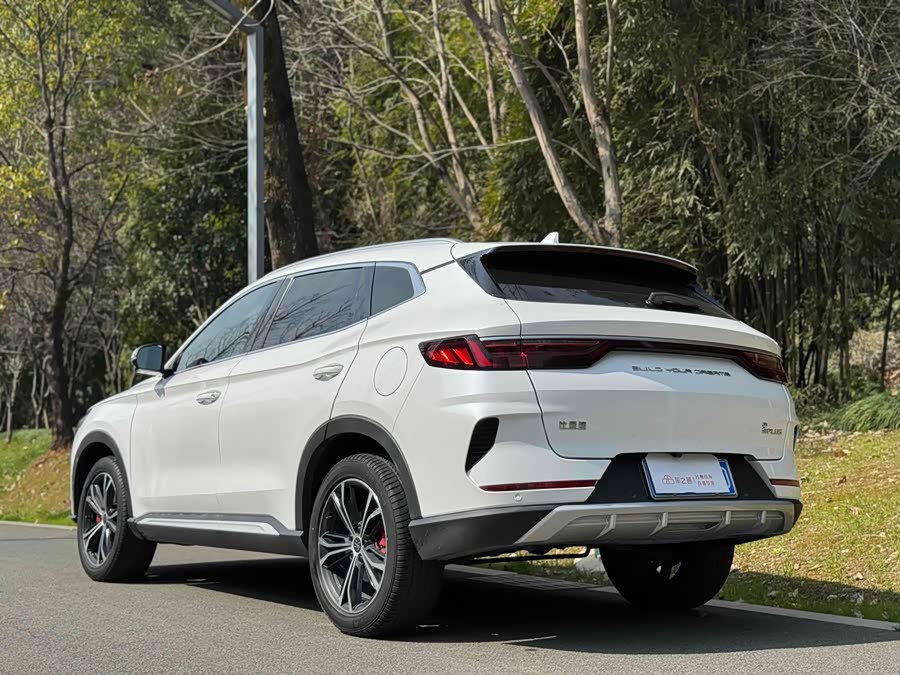 BYD Song Plus 2021 car image #6