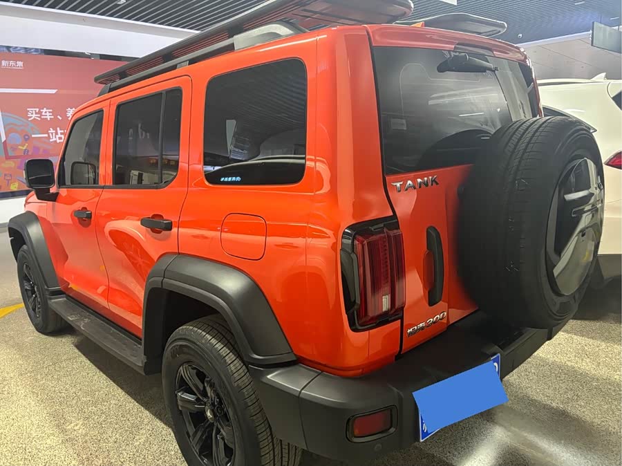 Tank 300 2022 car image #6