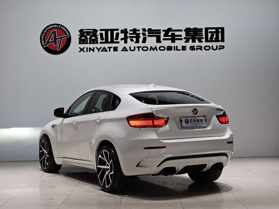 BMW X6 M 2010 #6 BMW X6 M 2010 immagine di auto #6