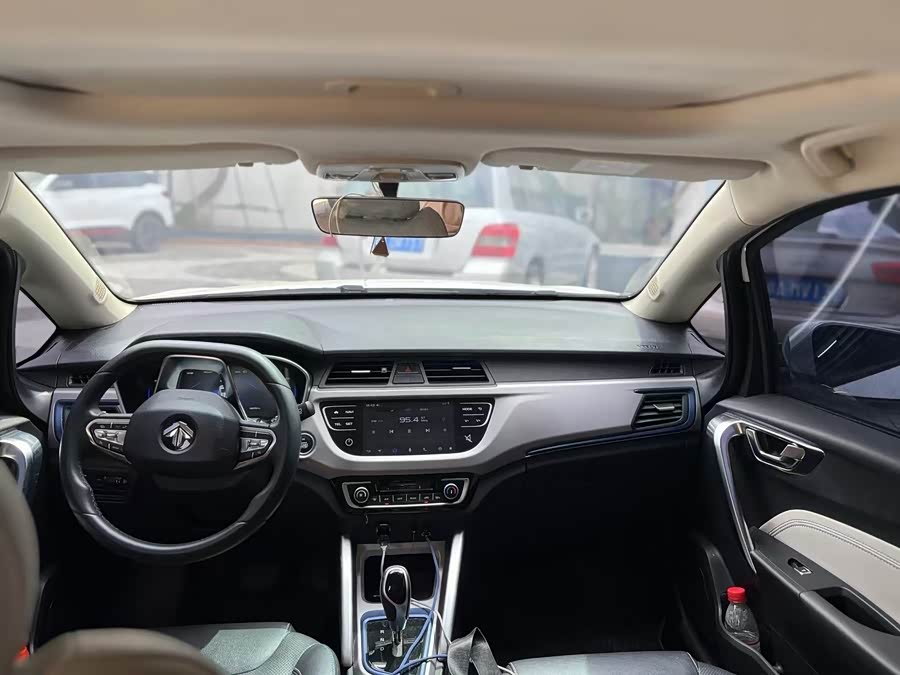 睿蓝汽车 枫叶30X 2020 汽车图片 #6