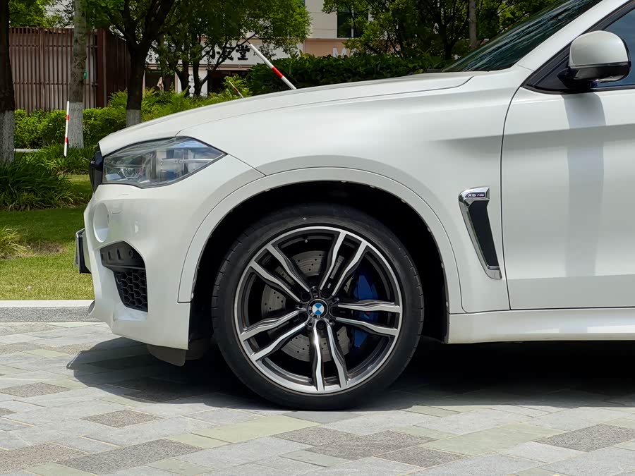 BMW X6 M 2017 car image #6