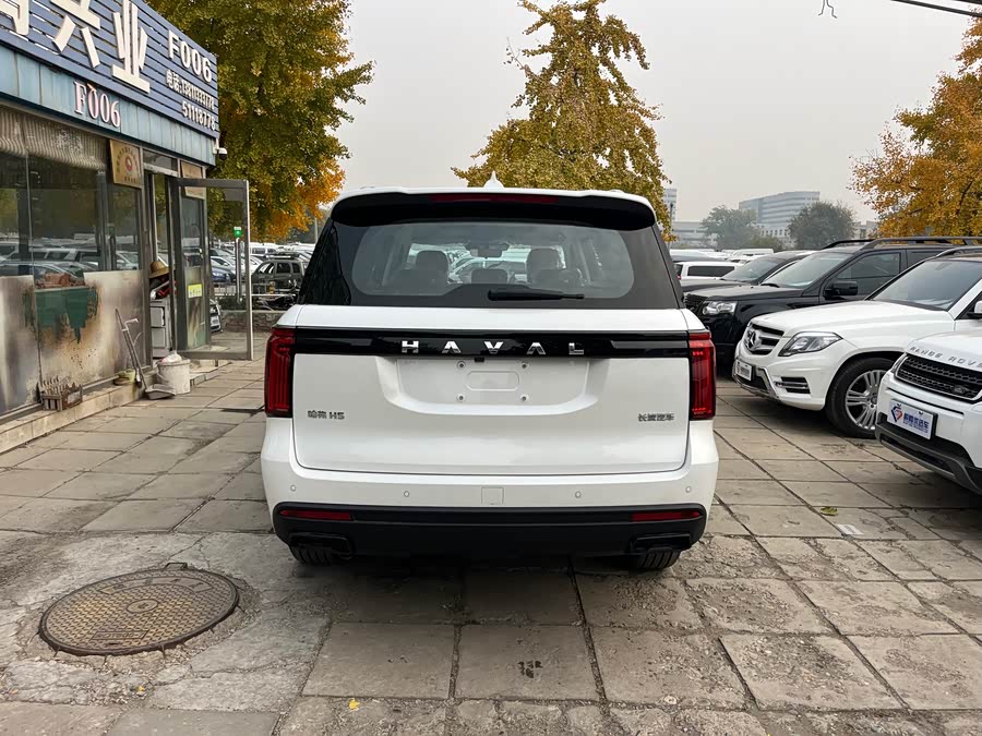 Haval H5 2025 car image #6
