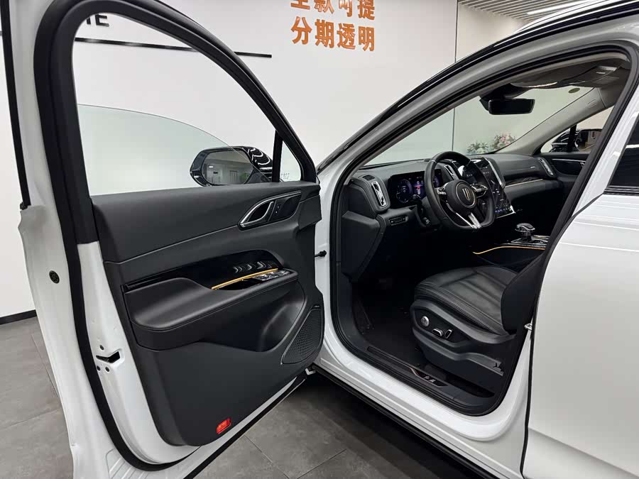 HongQi HS3 2023 imagen de coche #6