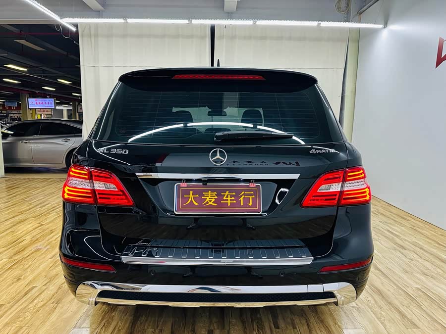 Mercedes-Benz M Class 2015 car image #6