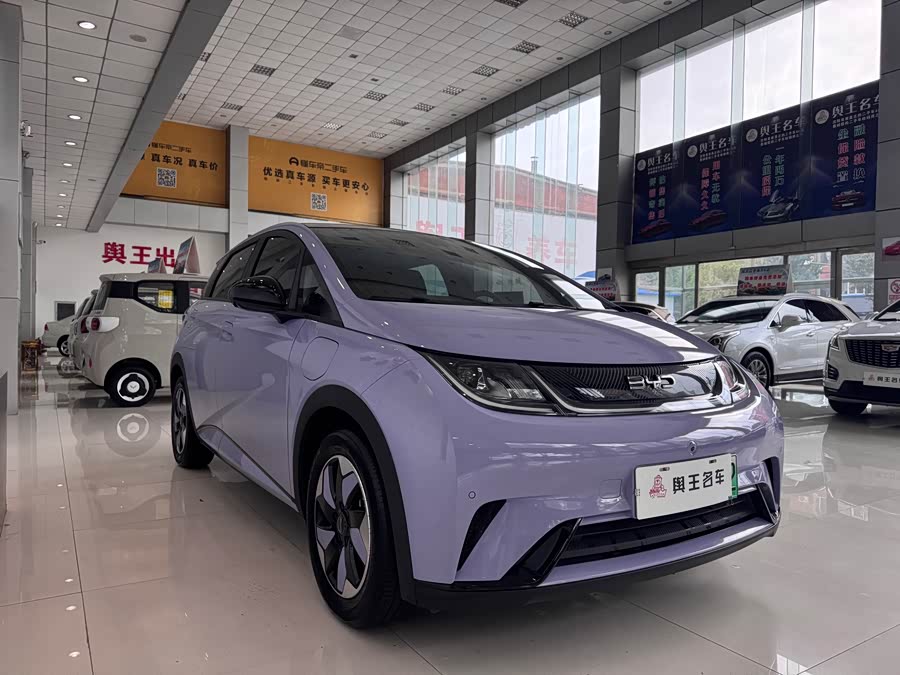 BYD Dolphin 2024 صورة سيارة #6