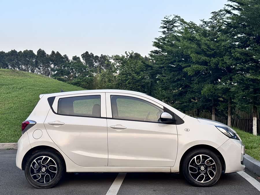 Changan BenBen EV 2021 car image #6