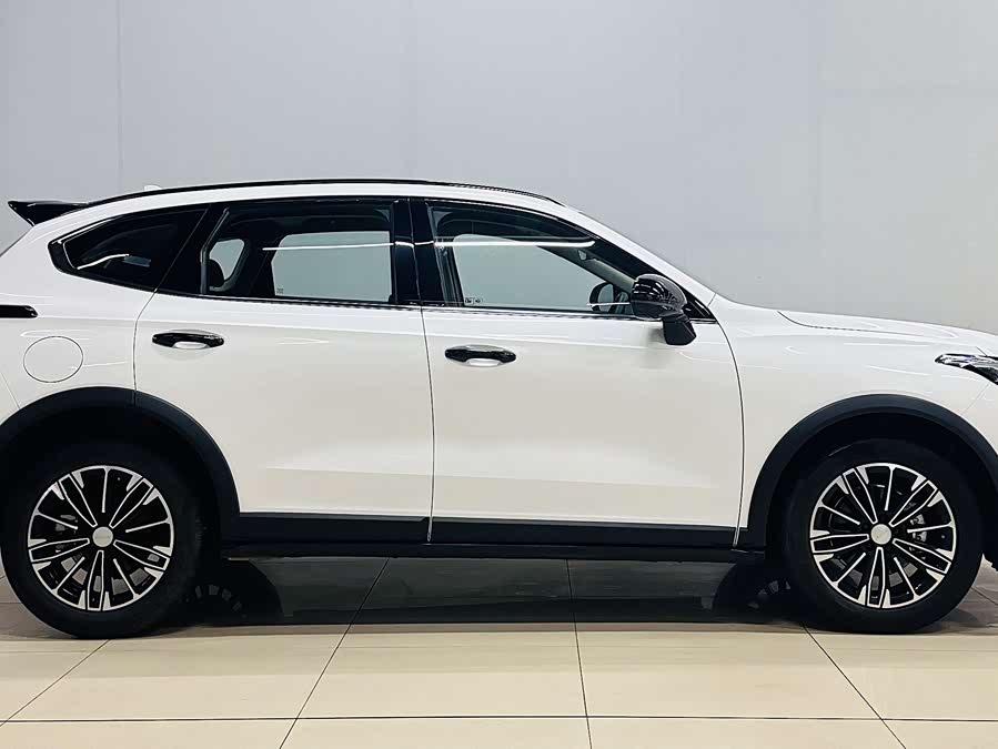 Haval Rabbit 2024 car image #6