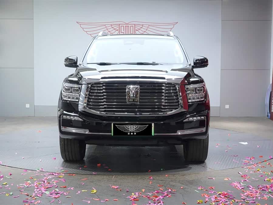 Tank 500 New Energy 2023 car image #6