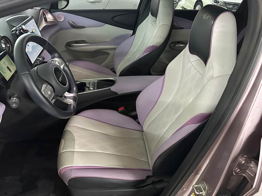 BYD Dolphin 2023 imagem de carro #6