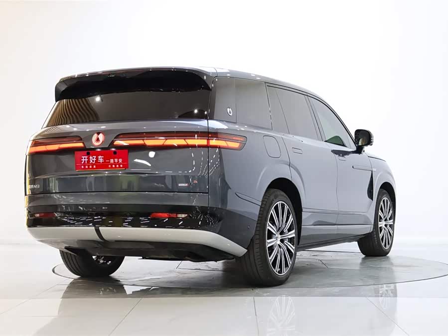 Denza N9 2025 car image #6